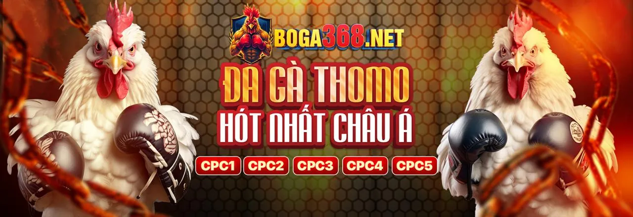 Banner khuyến mãi thể thao hấp dẫn tại One88co