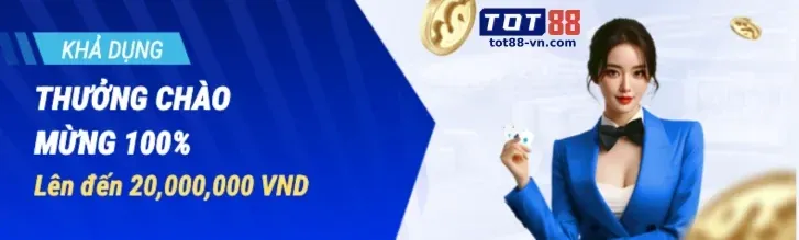 Tổng quan về Chính sách Cookie và bảo vệ dữ liệu người dùng